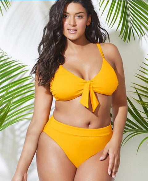 Fien | Plus Size Bikini Set